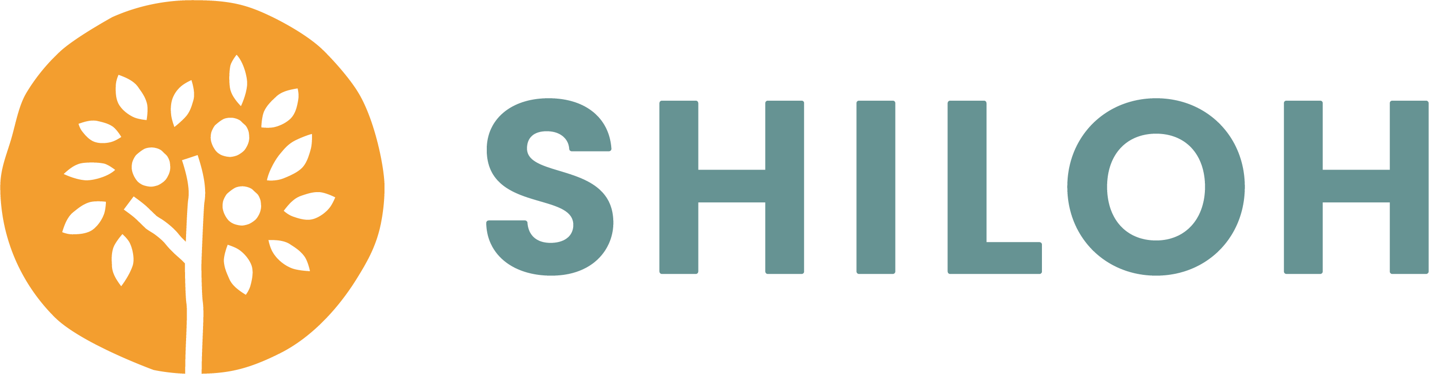 Shiloh Contact Details